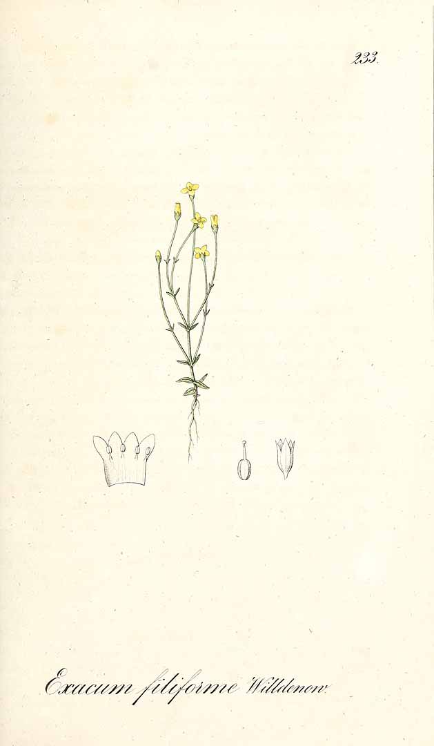 no HD illustration available (m5)