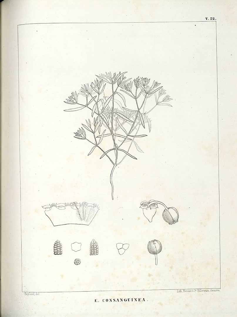 no HD illustration available (m5)