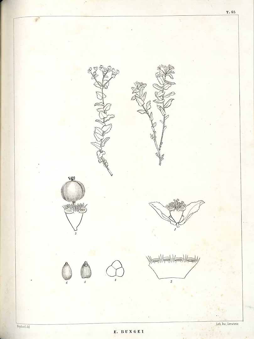 no HD illustration available (m5)