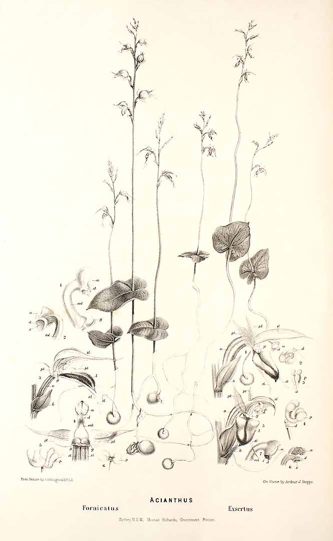 no HD illustration available (m5)