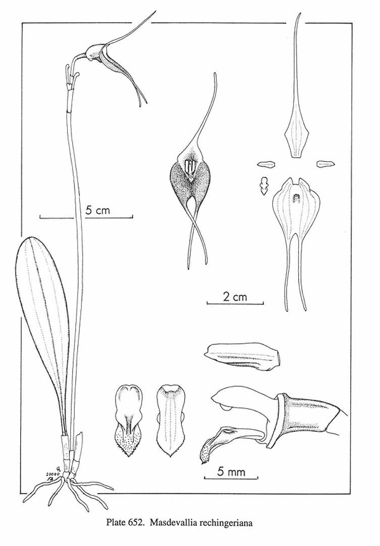 no HD illustration available (m5)