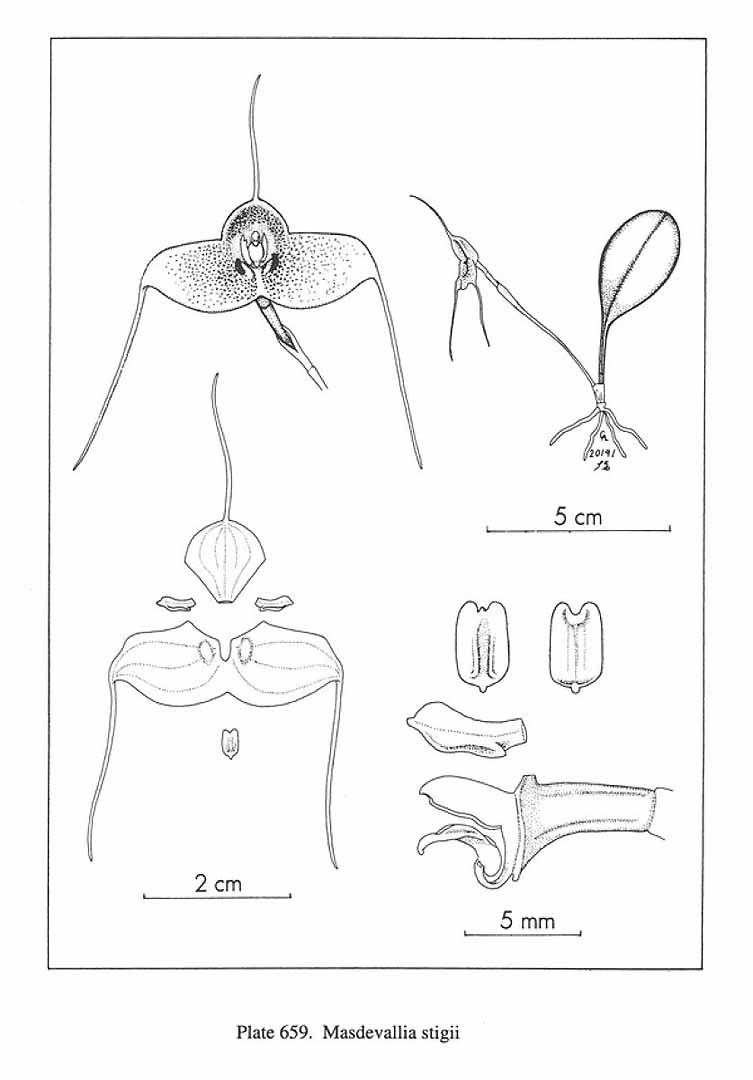 no HD illustration available (m5)