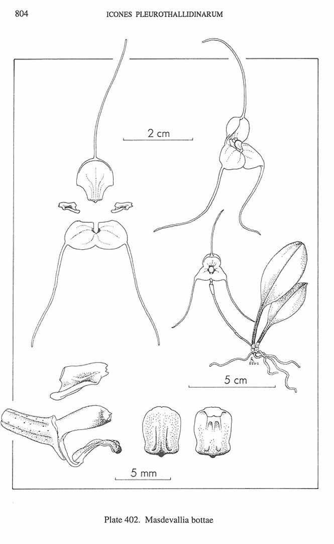 no HD illustration available (m5)