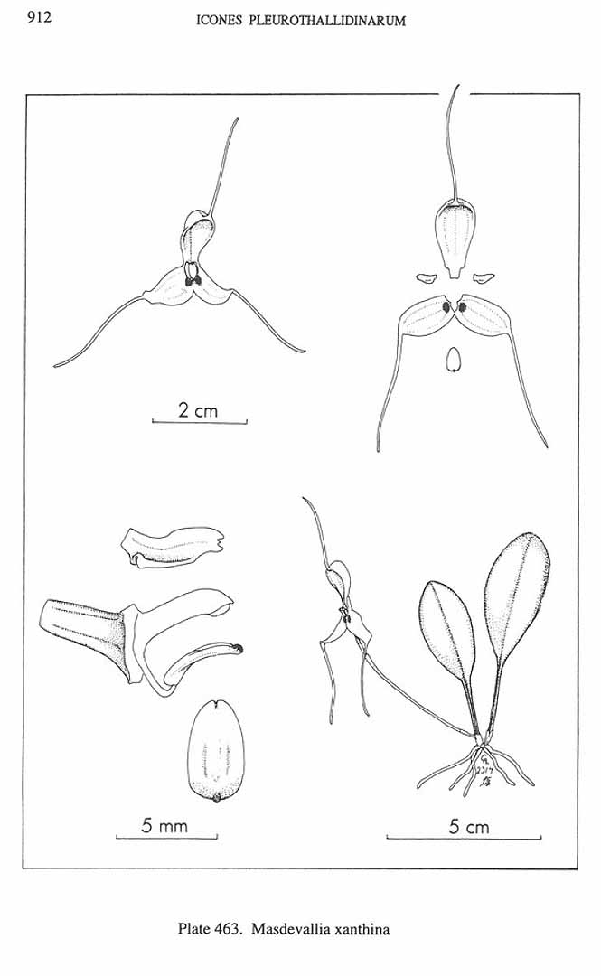 no HD illustration available (m1)