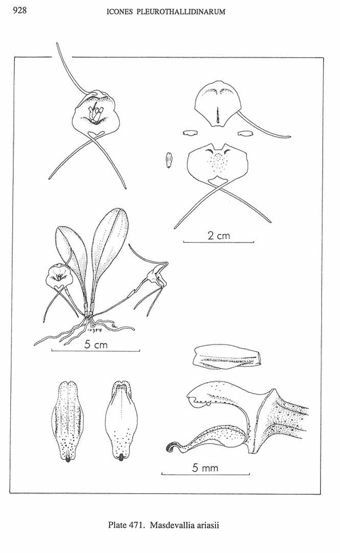 no HD illustration available (m5)