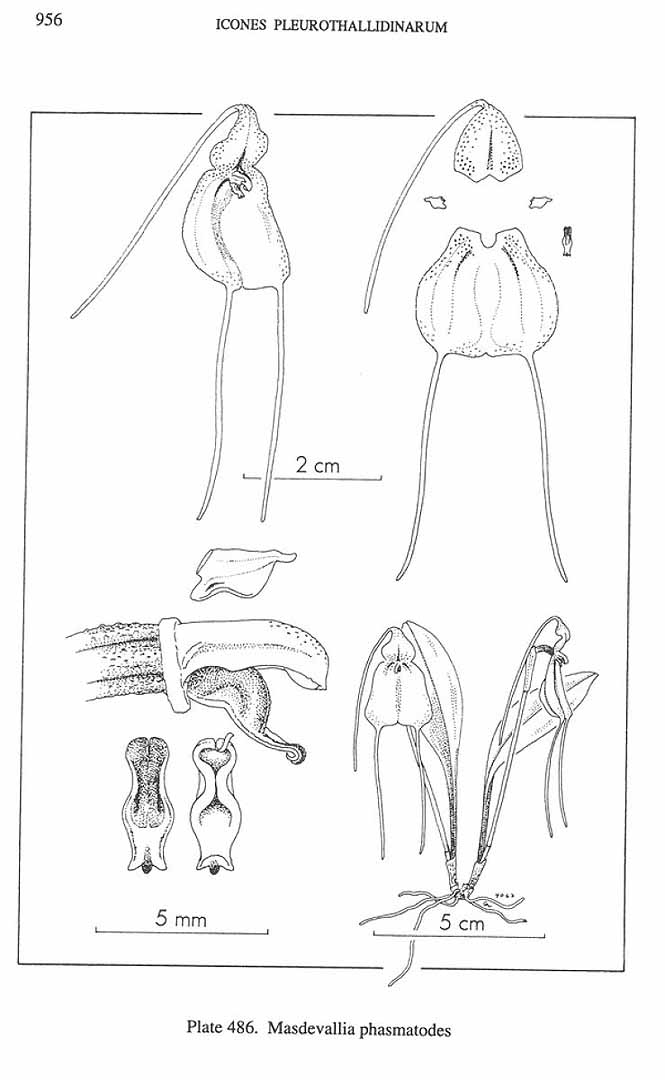 no HD illustration available (m5)