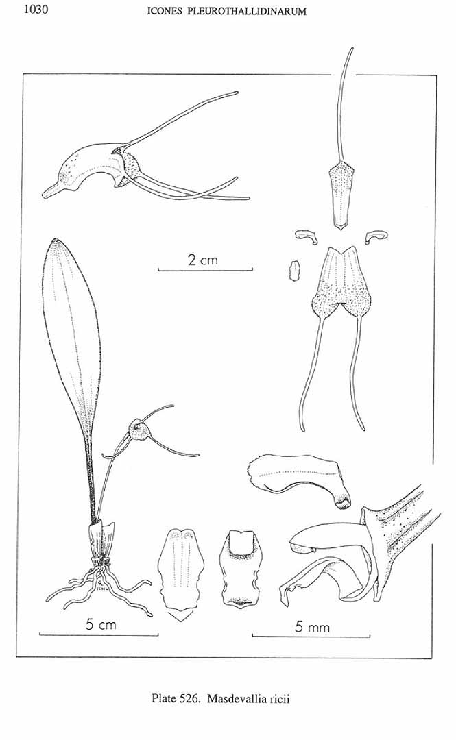 no HD illustration available (m5)