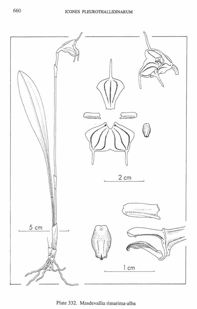no HD illustration available (m5)