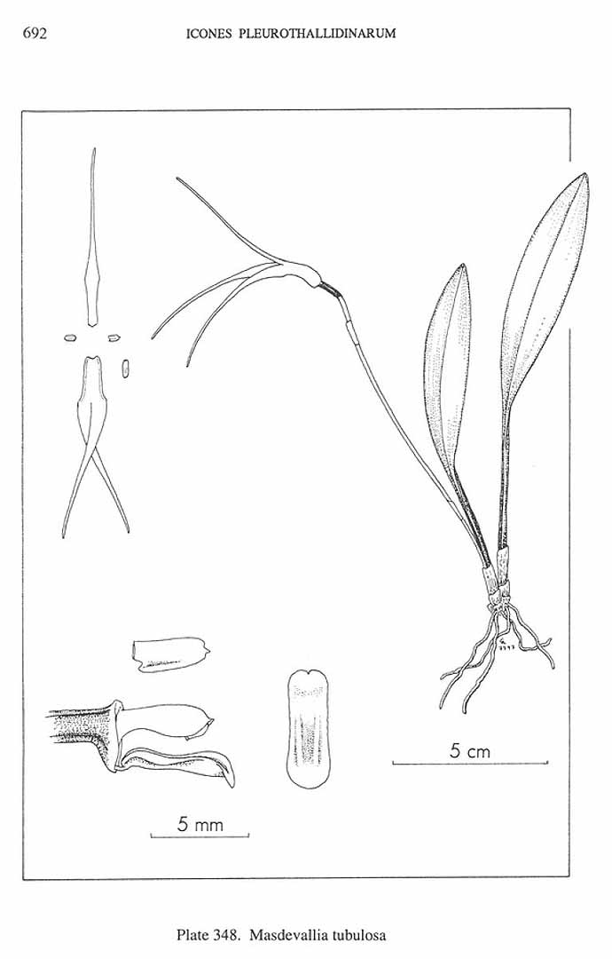 no HD illustration available (m5)