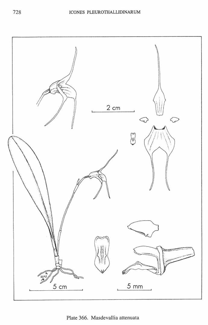 no HD illustration available (m5)