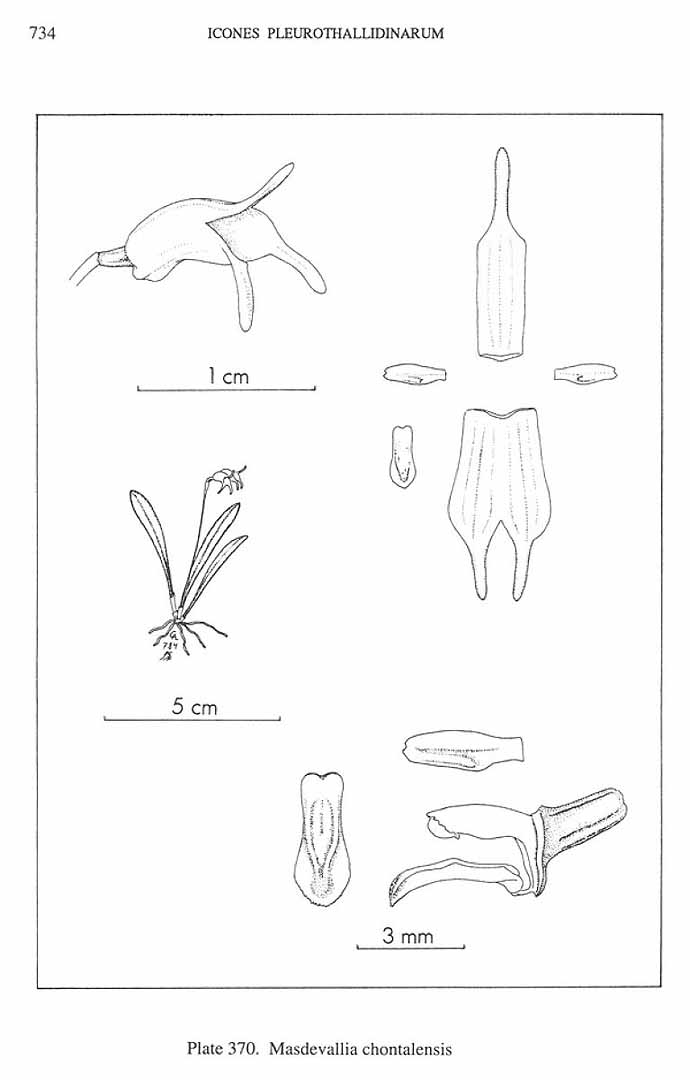 no HD illustration available (m5)