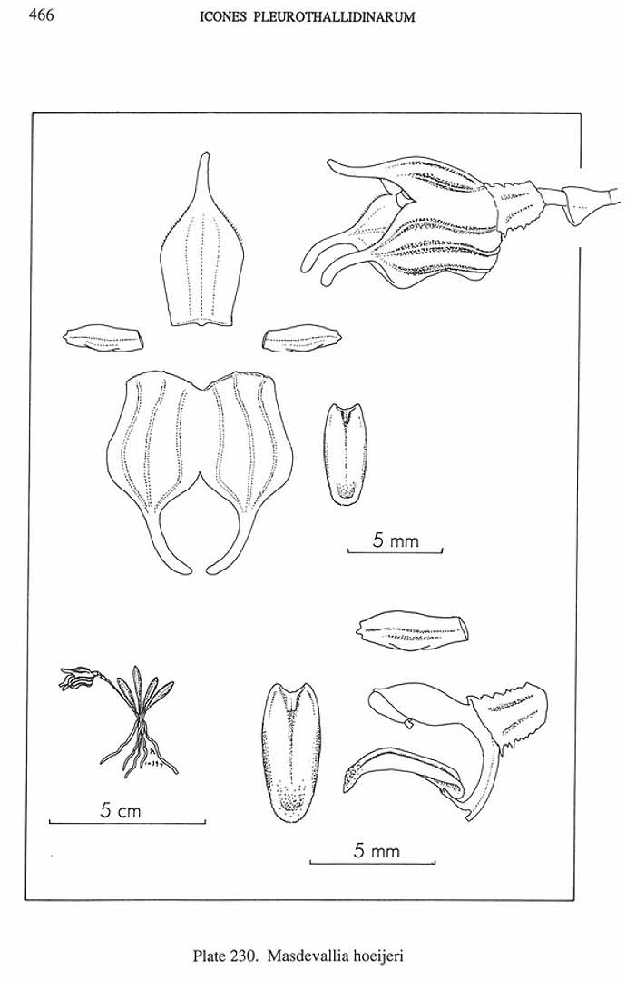 no HD illustration available (m5)