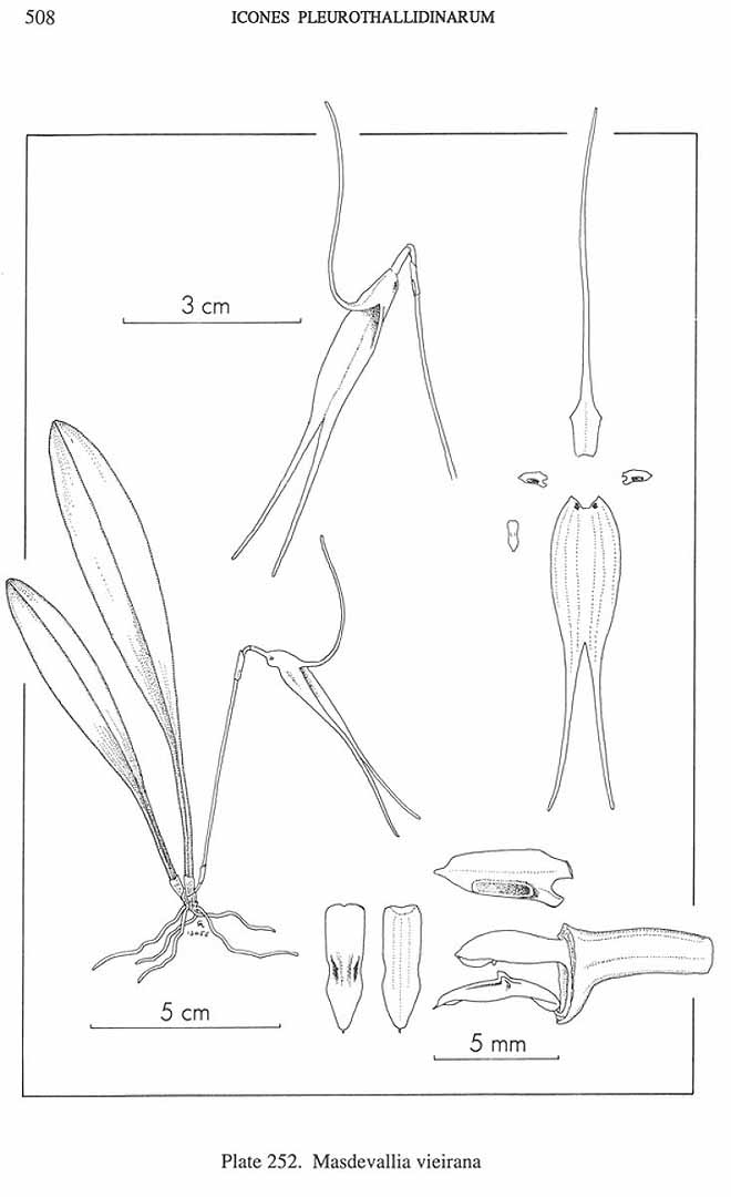 no HD illustration available (m5)