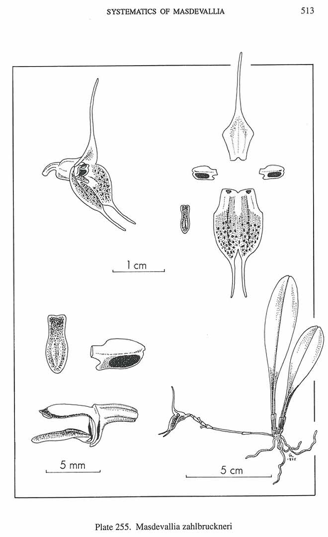 no HD illustration available (m5)