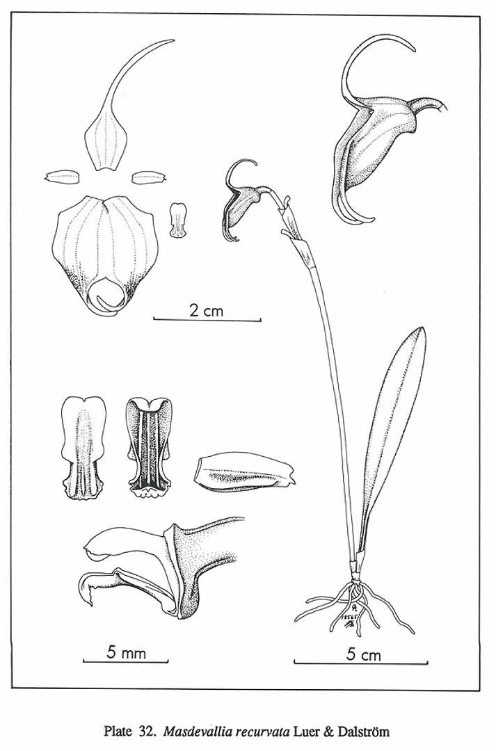 no HD illustration available (m5)