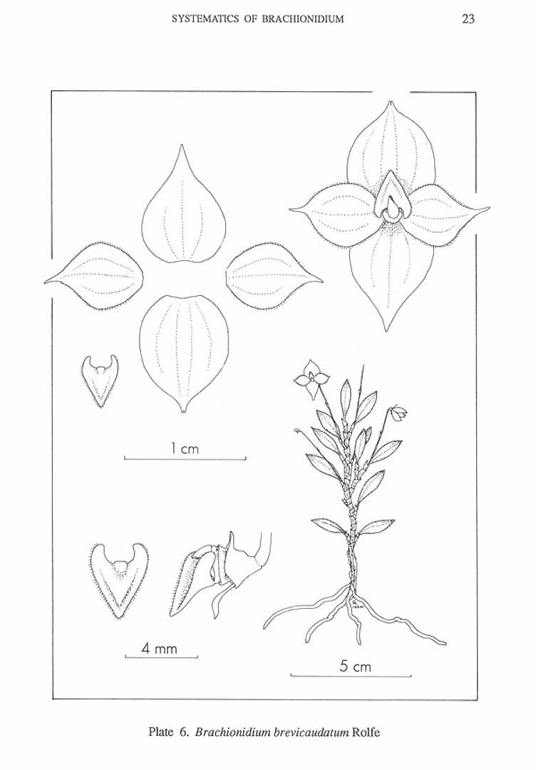 no HD illustration available (m5)