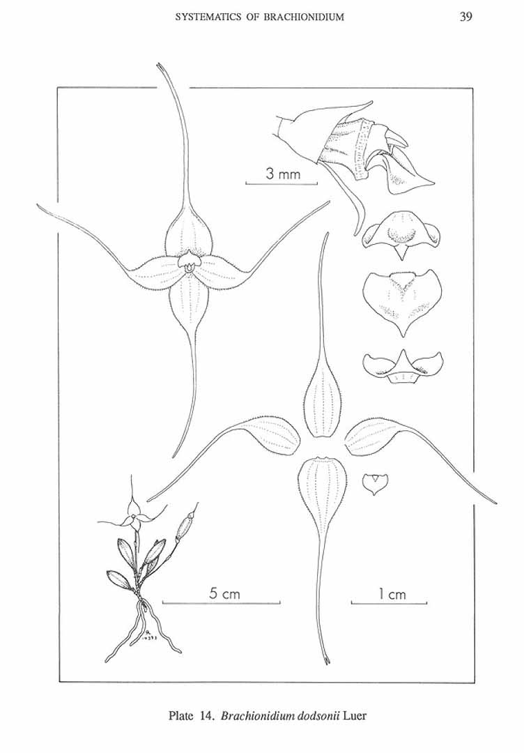 no HD illustration available (m5)