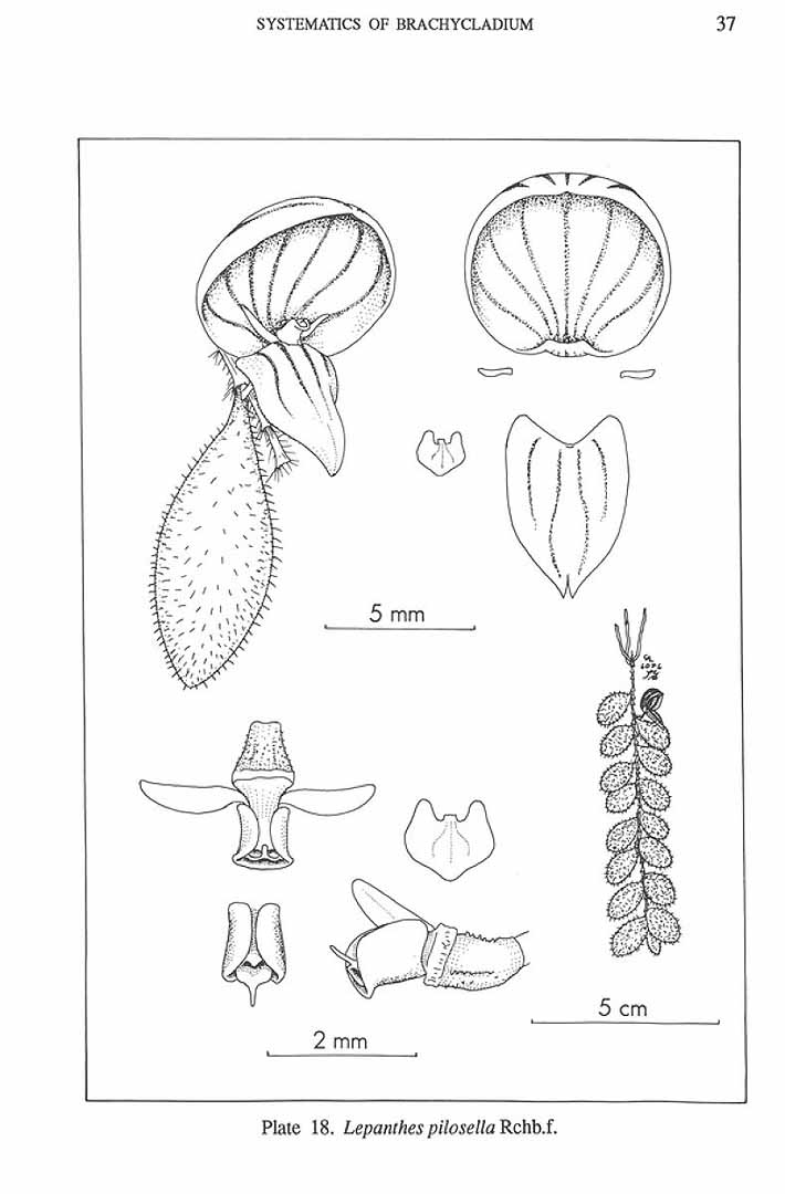 no HD illustration available (m5)