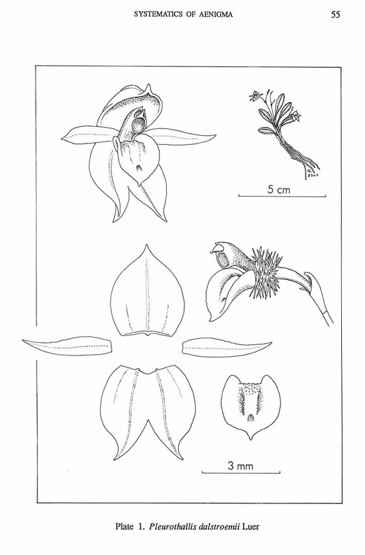 no HD illustration available (m5)