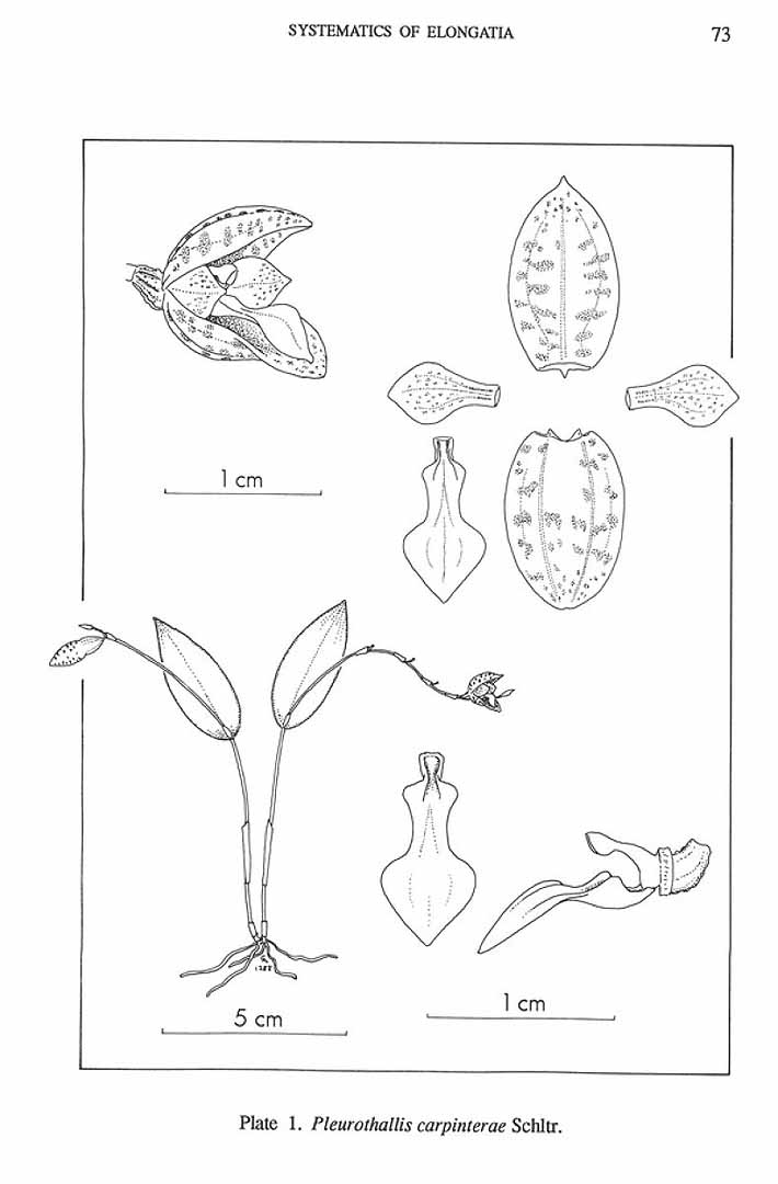 no HD illustration available (m5)