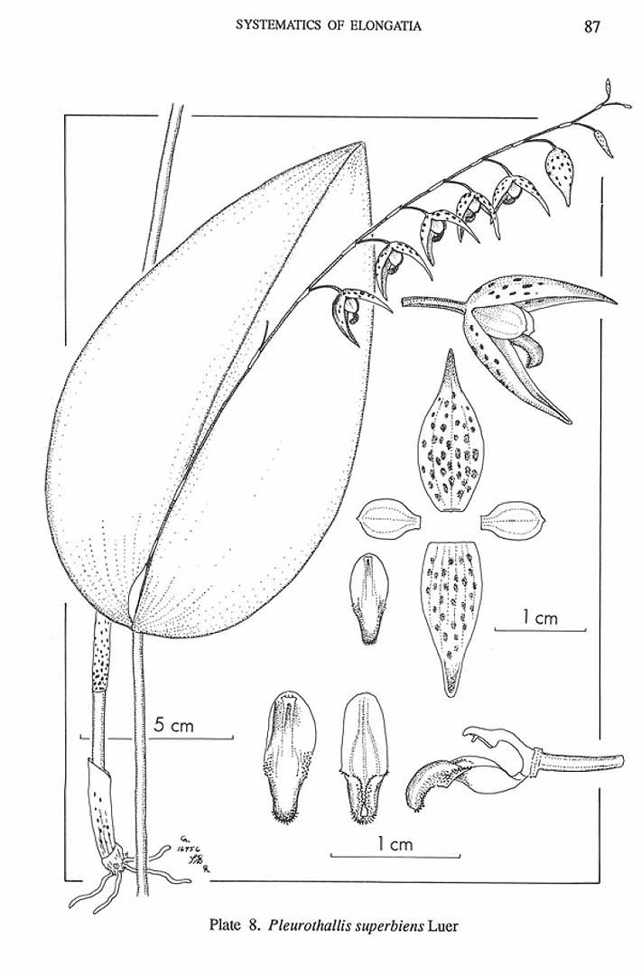 no HD illustration available (m5)