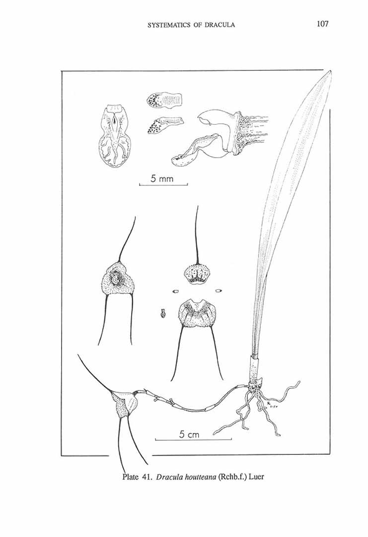 no HD illustration available (m1)