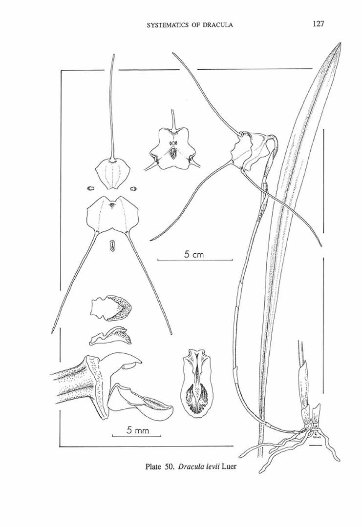 no HD illustration available (m5)