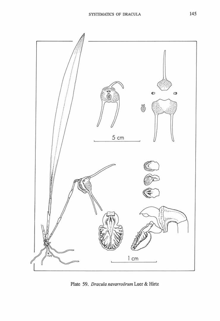 no HD illustration available (m5)