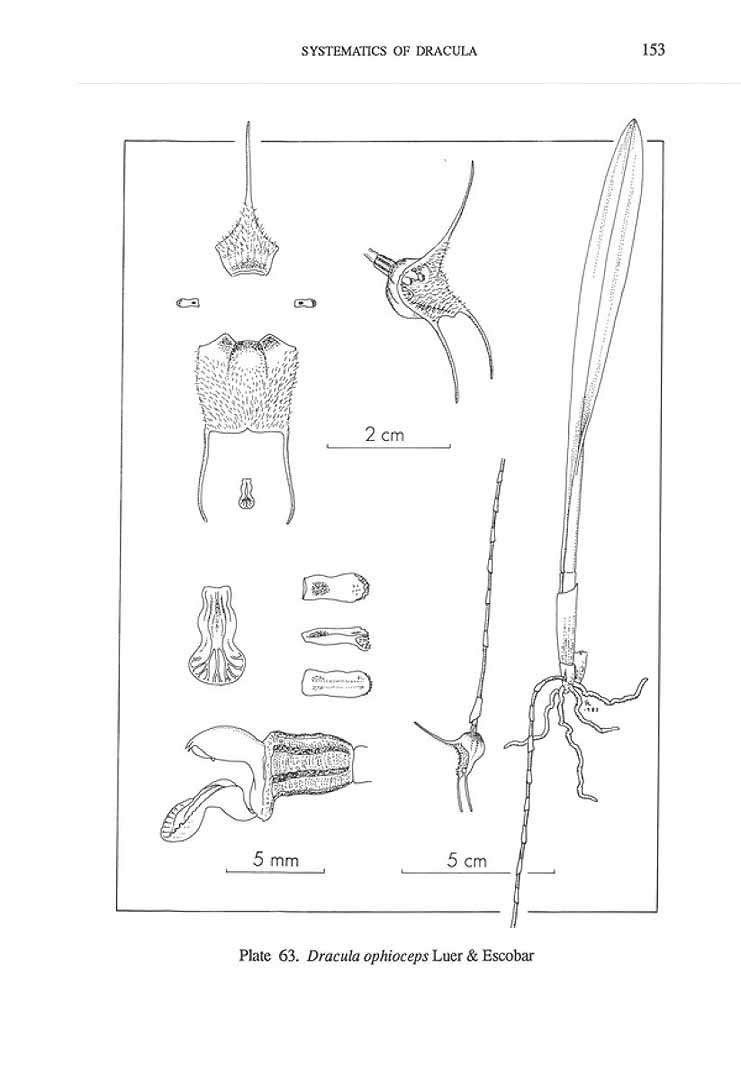 no HD illustration available (m5)