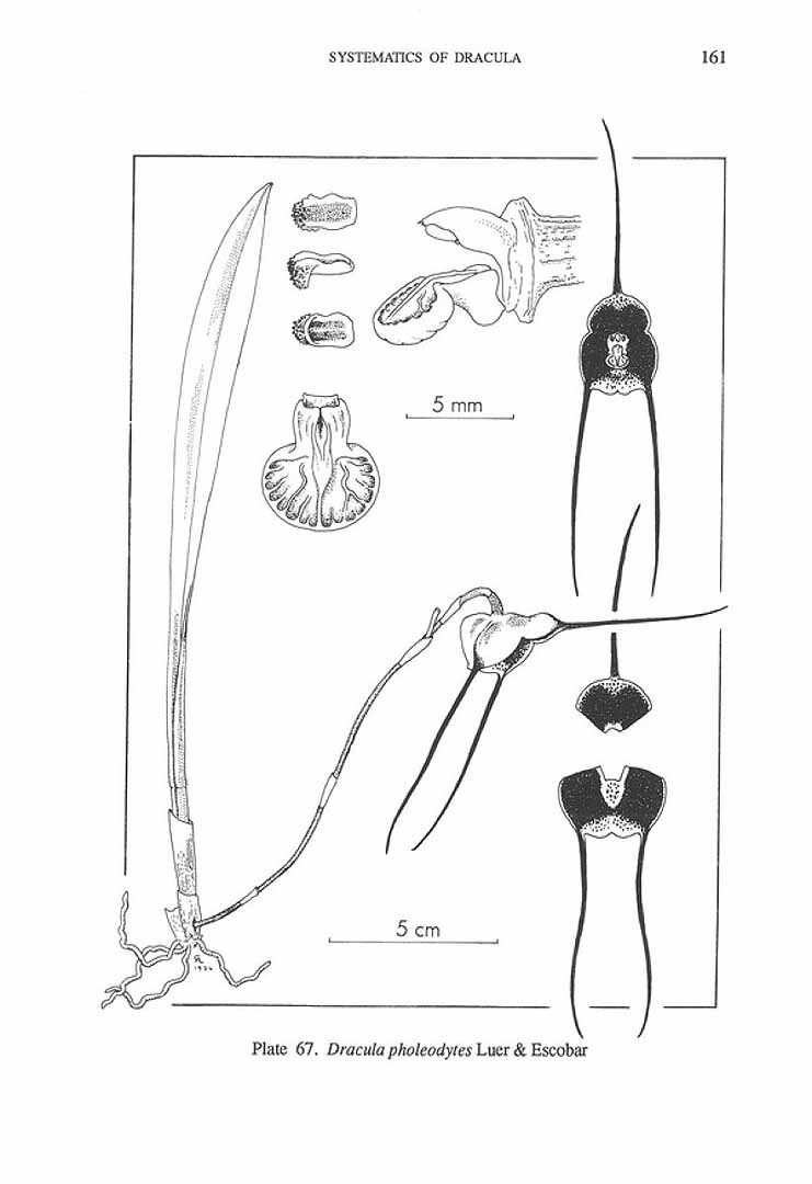 no HD illustration available (m5)