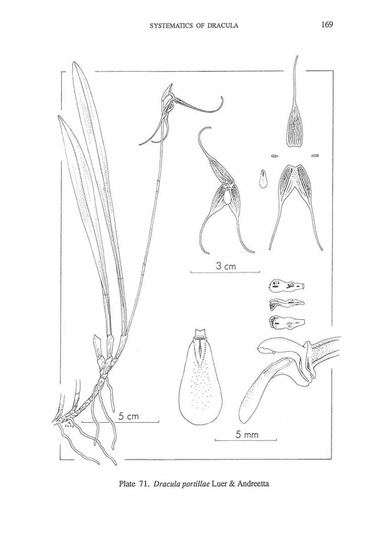 no HD illustration available (m5)