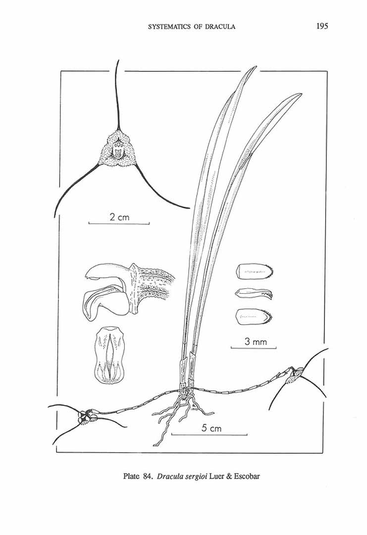 no HD illustration available (m5)