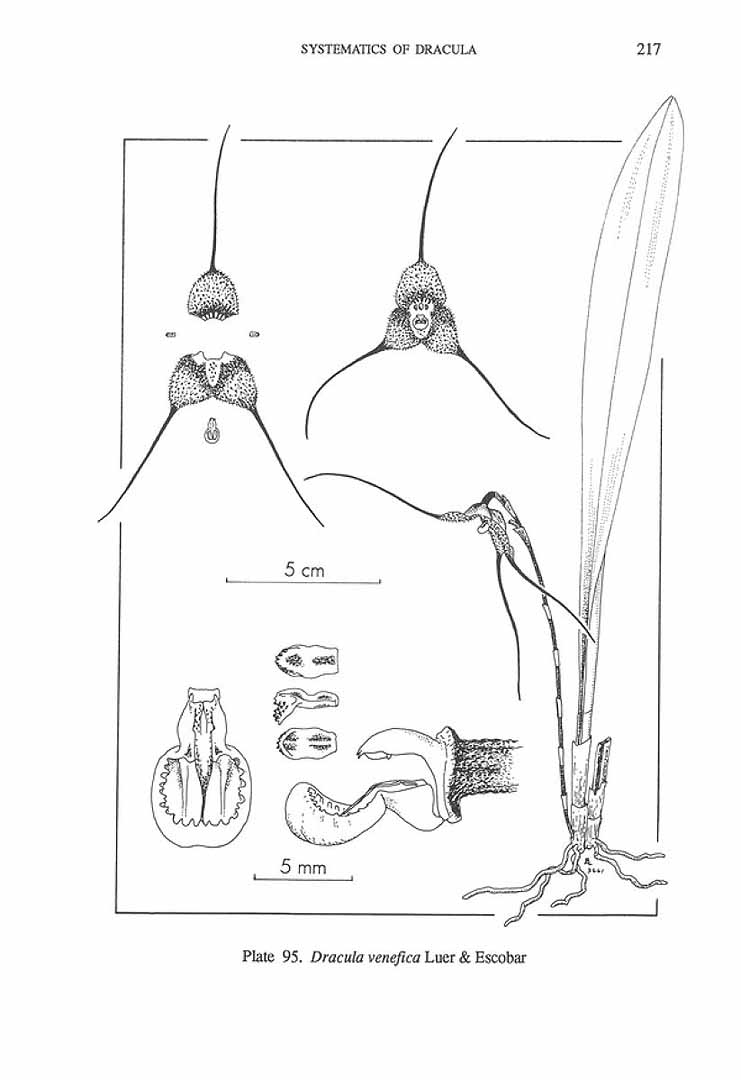 no HD illustration available (m5)