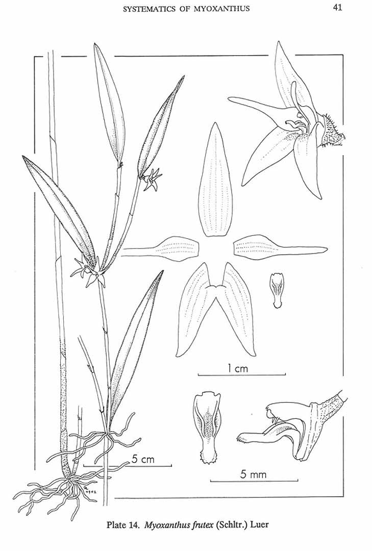 no HD illustration available (m5)