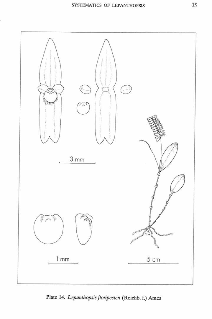 no HD illustration available (m5)