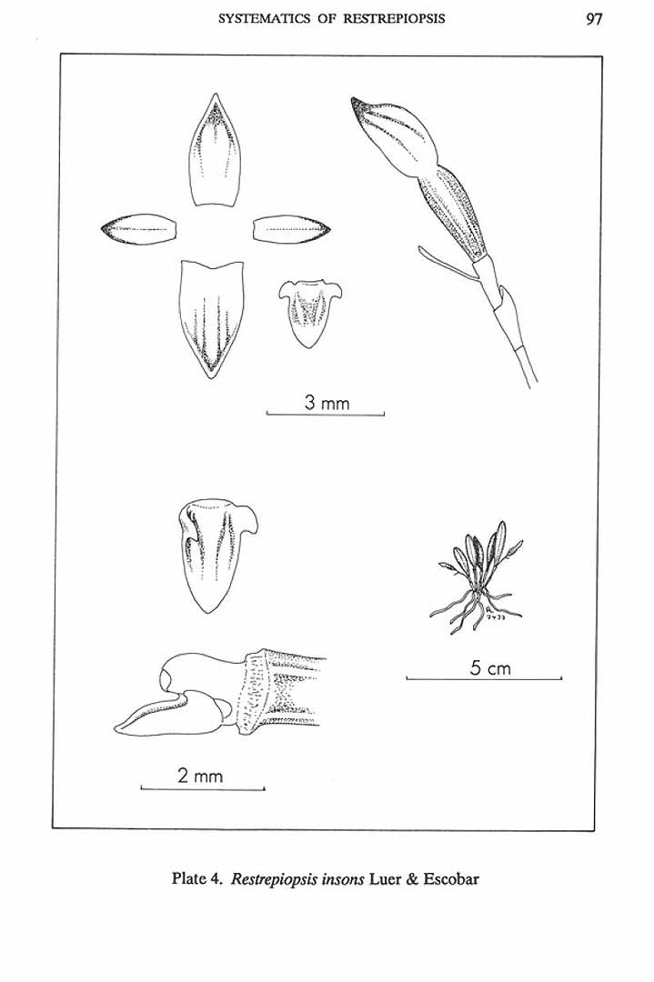 no HD illustration available (m5)