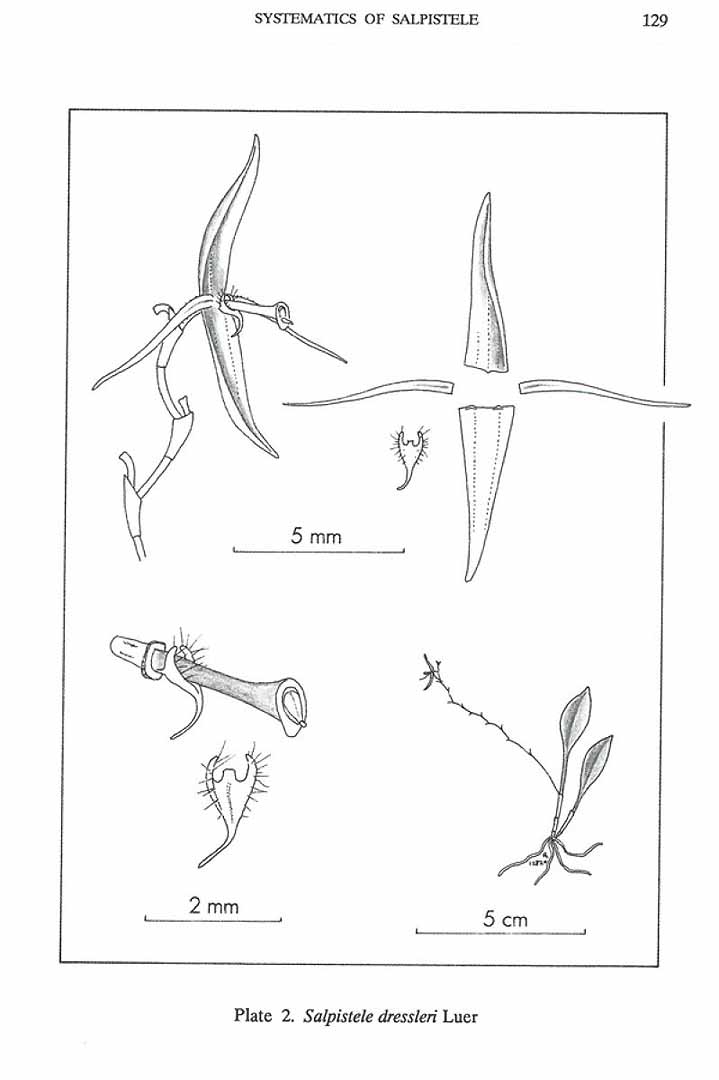 no HD illustration available (m5)
