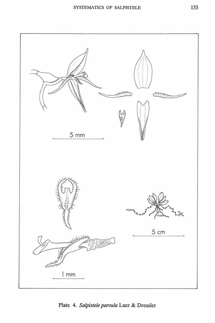 no HD illustration available (m5)
