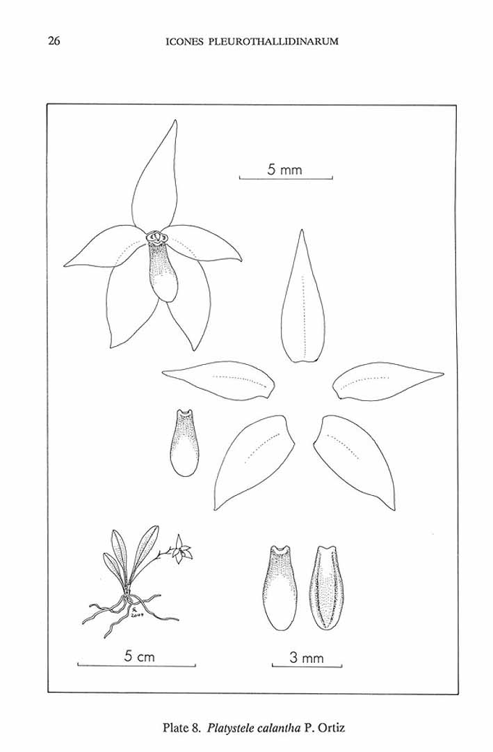 no HD illustration available (m1)