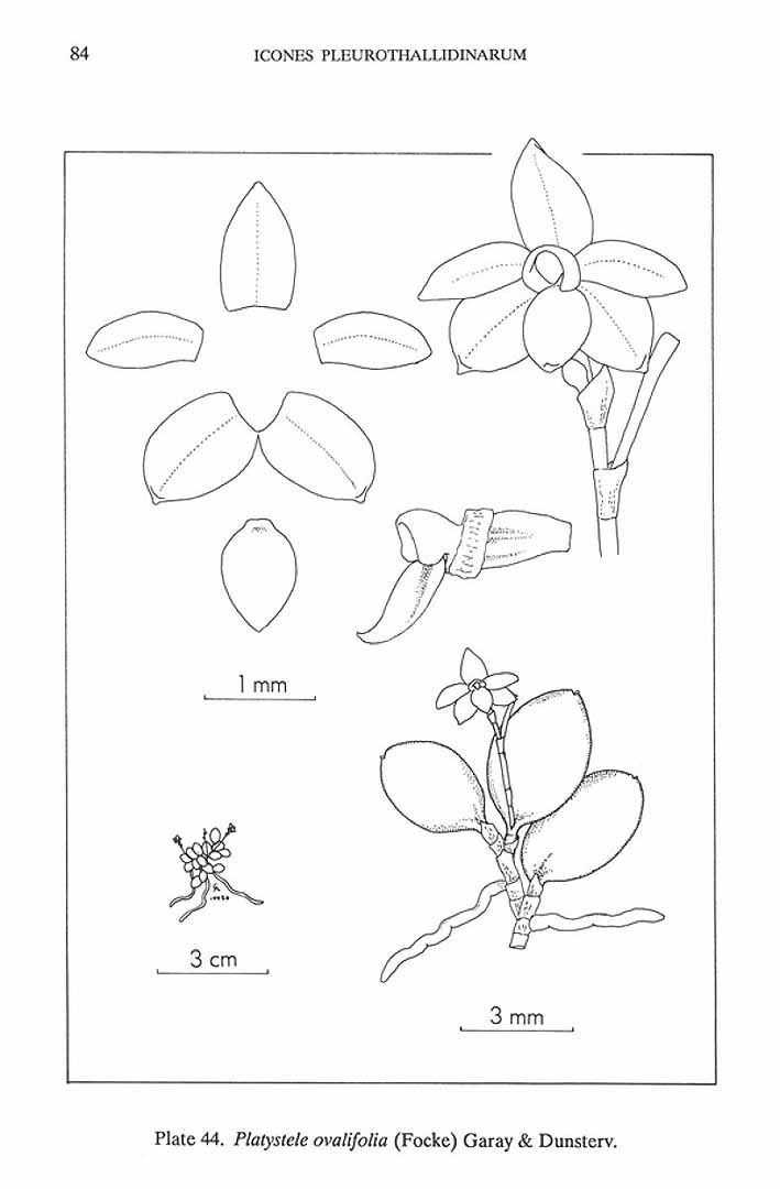 no HD illustration available (m5)