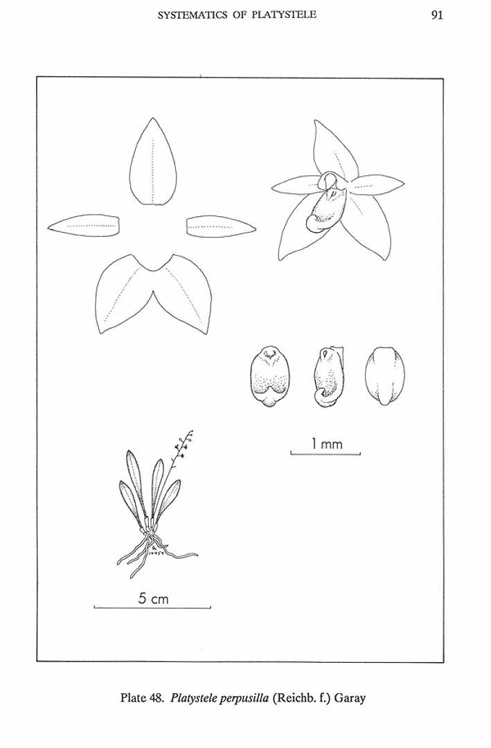 no HD illustration available (m5)