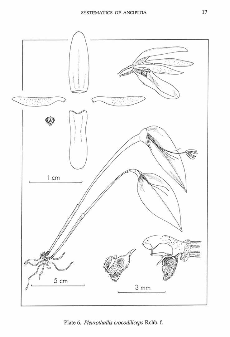 no HD illustration available (m5)