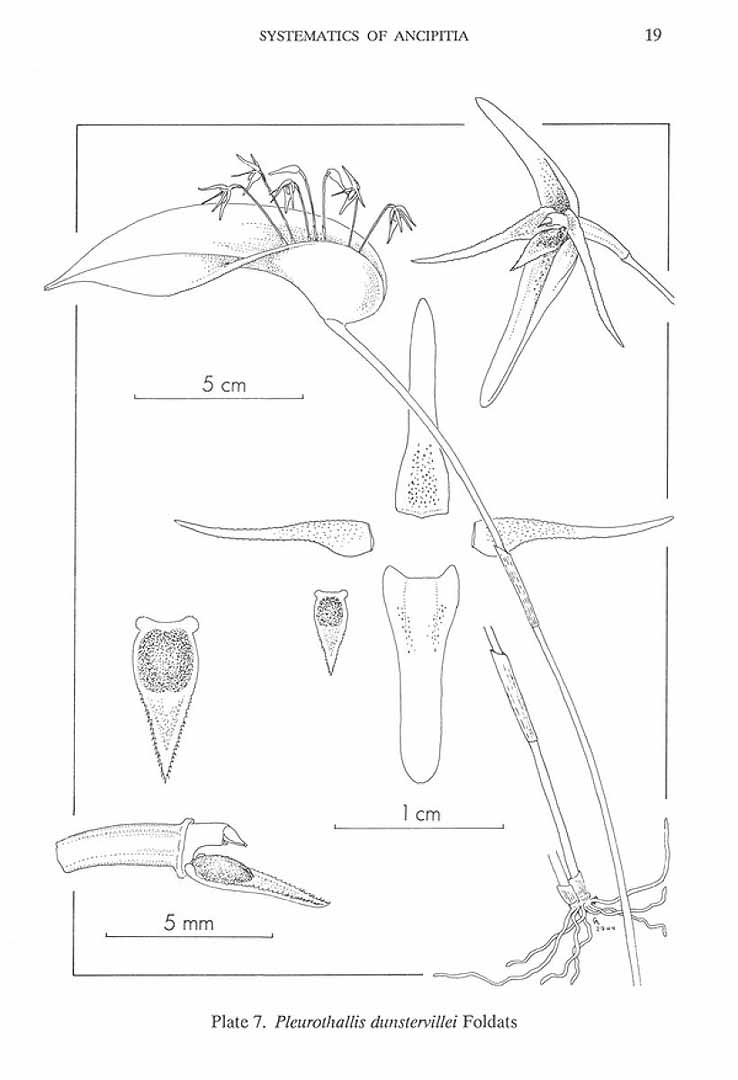 no HD illustration available (m5)