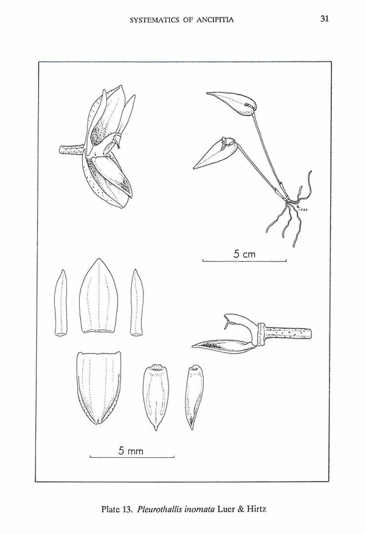 no HD illustration available (m5)