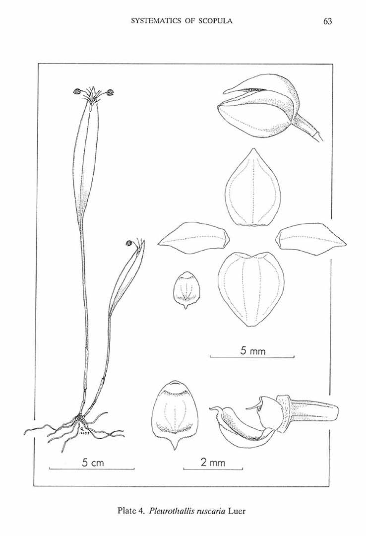 no HD illustration available (m5)