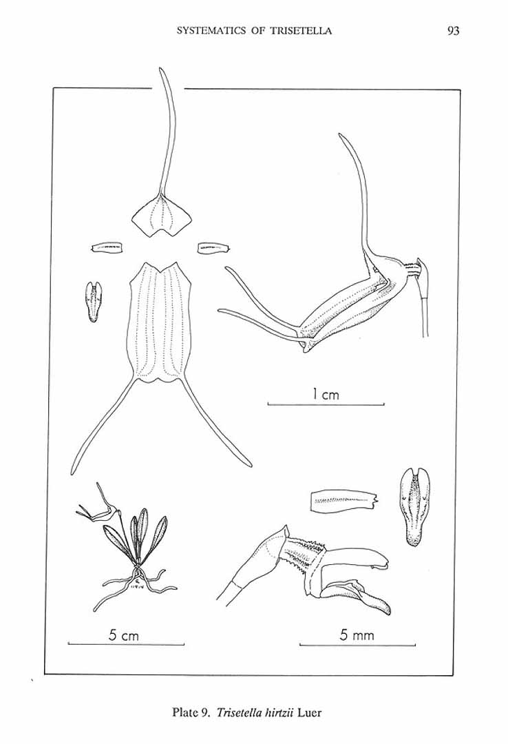no HD illustration available (m5)