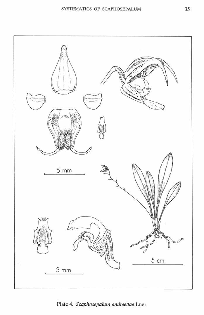 no HD illustration available (m5)