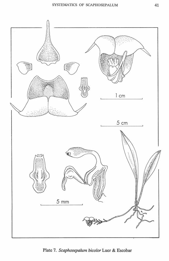 no HD illustration available (m5)
