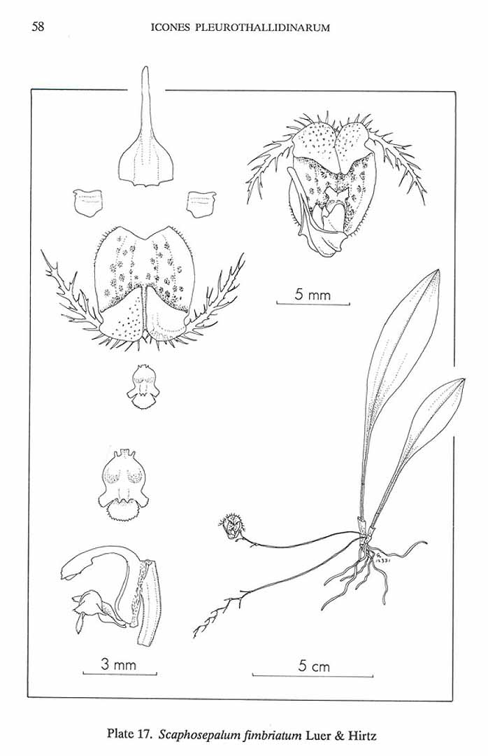 no HD illustration available (m5)