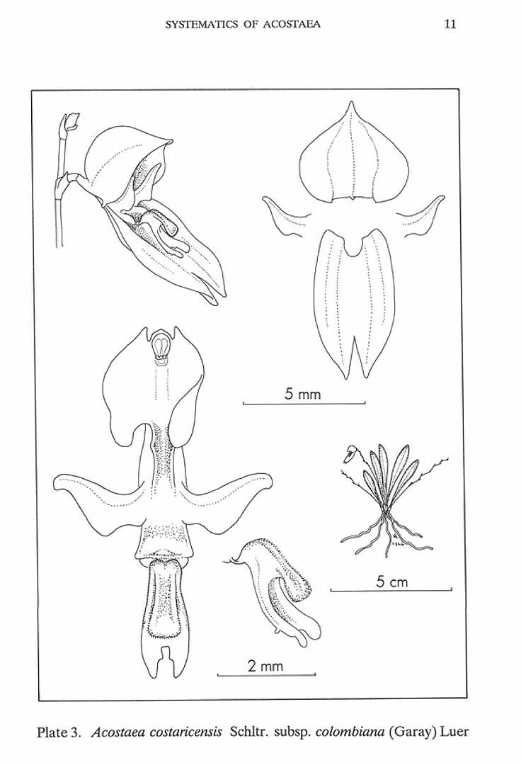 no HD illustration available (m5)